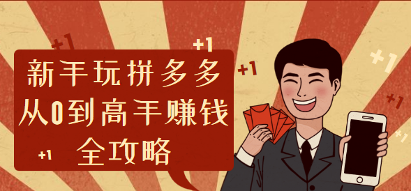 精品课程：新手玩拼多多从0到高手赚钱全攻略【完结】_微雨项目网