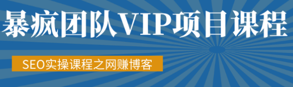 暴疯团队VIP赚钱项目教程之（SEO实操课程之网赚博客）_微雨项目网