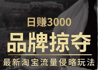 日赚3000+品牌店群，最新淘宝流量侵略玩法（官方售价3600元）_豪客资源库