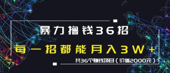 蜘蛛火暴力撸钱36招，共36个赚钱项目价值2000元-启程资源站