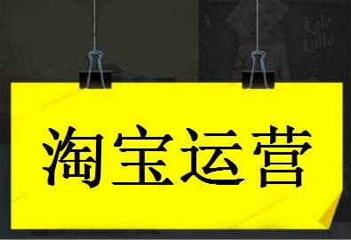 2020年零基础淘宝SEO运营实战，大数据时代精细化运营流程_豪客资源库