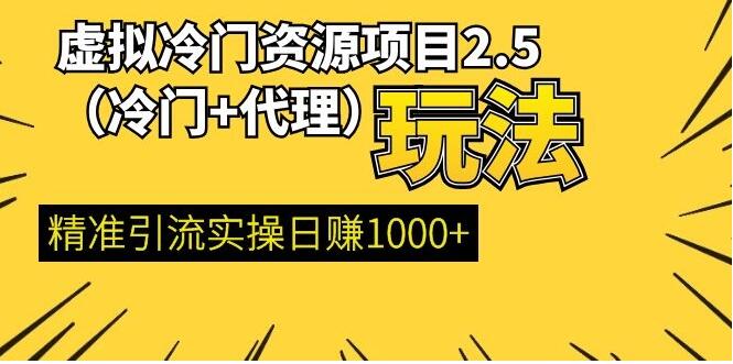 虚拟冷门资源项目（冷门及代理玩法） 精准引流实操日赚1000+(完结)-晓涛项目资源网