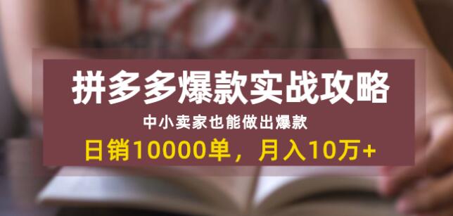 拼多多爆款实战攻略：中小卖家也能做出爆款，日销10000单月入10w+-私藏资源社
