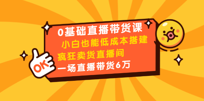 0基础直播带货课：小白也能低成本搭建疯狂卖货直播间：1场直播带货6万-第一资源库