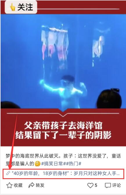 图片[3]-视频号CPS月入10W+ 抢占微信视频号红利-赚钱驿站