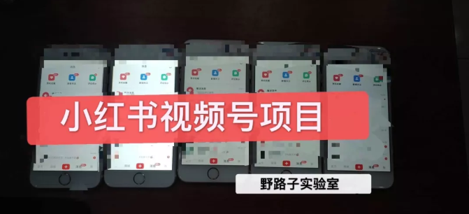 图片[1]-野路子小红书视频号1.0项目，直接上手操作就能赚钱的视频号项目-优才资源站