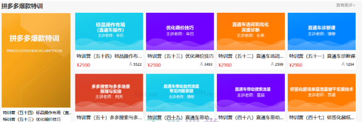多多大师VIP拼多多运营培训课程价值2980元-私藏资源社