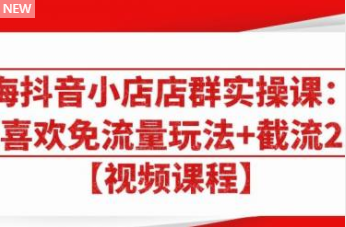 大海抖音小店店群实操课：猜你喜欢免流量玩法+截流 2.0-乌龙学社