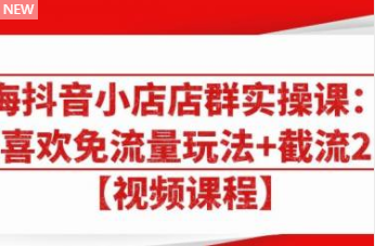 大海抖音小店店群实操课：猜你喜欢免流量玩法+截流 2.0-第一资源库