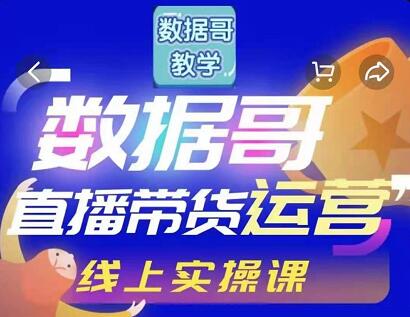 数据哥直播带货运营线上进阶课，让普通人也能靠直播赚钱!-闪越社