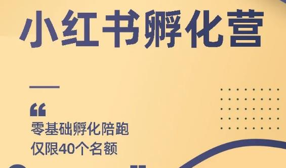 勇哥小红书撸金快速起量项目：教你如何快速起号获得曝光，做到月躺赚在 3000+-第一资源库