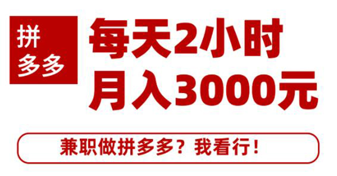 搜外网·拼多多副业课程，每天2小时月入3000元 学习这门课程真的能赚钱-副业资源站 | 数域行者