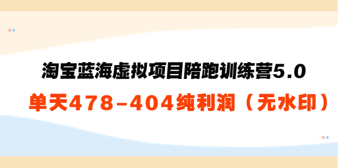 图片[1]-淘宝蓝海虚拟项目陪跑训练营5.0：单天478纯利润-最全项目网