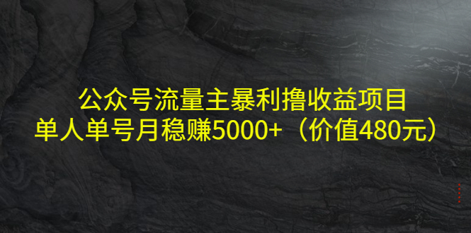 图片[1]_公众号流量主暴利撸收益项目，单人单号月稳赚5000+（价值480元）_微雨项目网