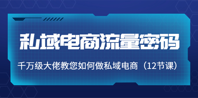 图片[1]-私域电商流量密码：千万级大佬教您如何做私域电商（12节课）-启程资源站