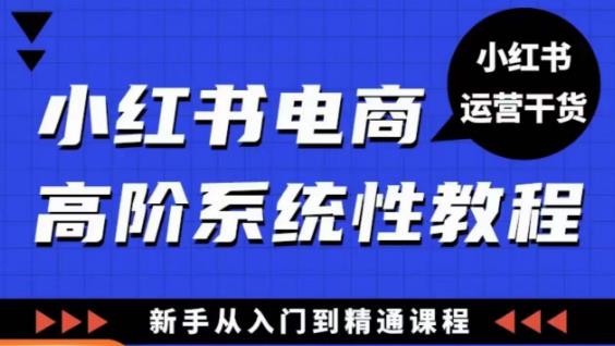 小红书电商高阶系统教程，新手从入门到精通系统课-第一资源库