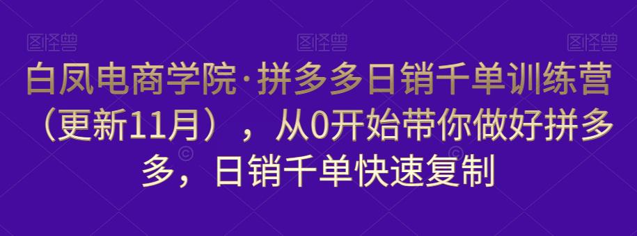 白凤电商学院·拼多多日销千单训练营，从0开始带你做好拼多多，日销千单快速复制（更新知2023年3月）-第一资源库