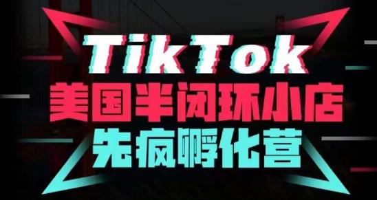 疯人院·TikTok美国半闭环小店孵化营，抢占TikTok美国蓝海市场，开店、运营、带货、投流全实操-第一资源库