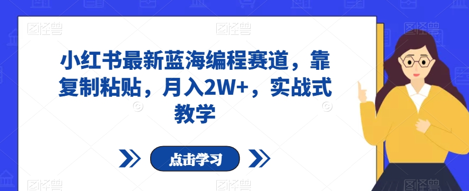 小红书最新蓝海编程赛道，靠复制粘贴，月入2W+，实战式教学【揭秘】-第一资源库