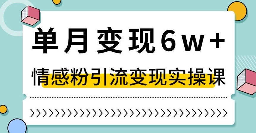 单月变现6W+，抖音情感粉引流变现实操课，小白可做，轻松上手，独家赛道【揭秘】-第一资源库