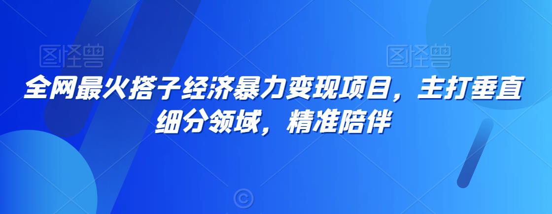 全网最火搭子经济暴力变现项目，主打垂直细分领域，精准陪伴【揭秘】-第一资源库