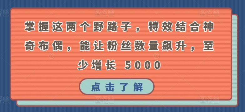 掌握这两个野路子，特效结合神奇布偶，能让粉丝数量飙升，至少增长 5000【揭秘】-第一资源库