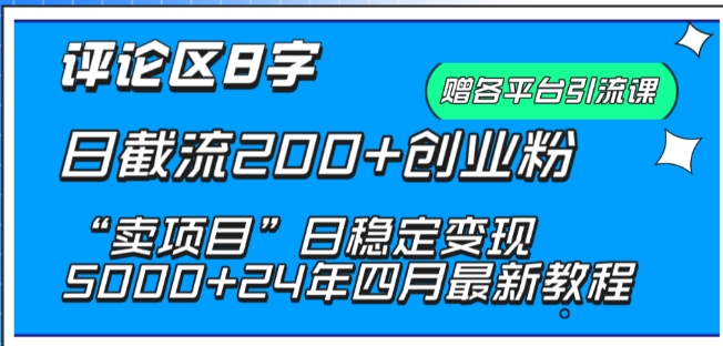 抖音评论区8字日截流200+创业粉 “卖项目”日稳定变现5000+【揭秘】-第一资源库