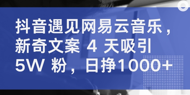 抖音遇见网易云音乐，新奇文案 4 天吸引 5W 粉，日挣1000+【揭秘】-第一资源库