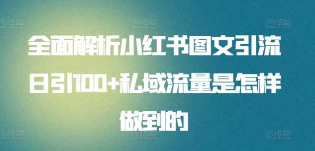 全面解析小红书图文引流日引100+私域流量是怎样做到的【揭秘】-第一资源库