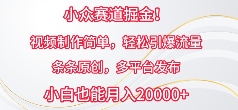 小众赛道掘金，视频制作简单，轻松引爆流量，条条原创，多平台发布【揭秘】-第一资源库