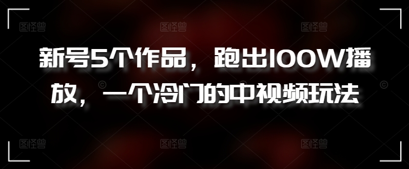 新号5个作品，跑出100W播放，一个冷门的中视频玩法【揭秘】-第一资源库