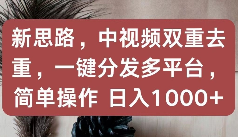 新思路，中视频双重去重，一键分发多平台，简单操作，日入1000+【揭秘】-第一资源库