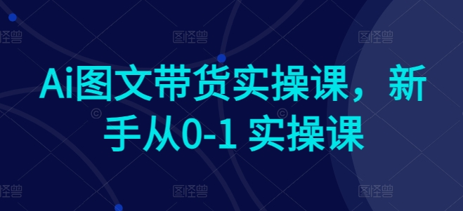 Ai图文带货实操课，新手从0-1 实操课-第一资源库