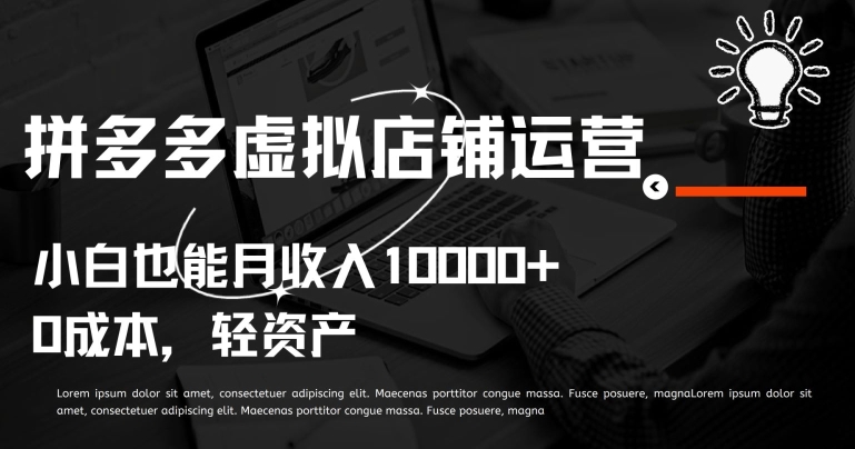 拼多多虚拟店铺运营小白也能月收入10000+【揭秘】-第一资源库