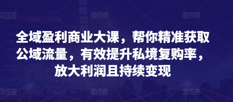 全域盈利商业大课，帮你精准获取公域流量，有效提升私境复购率，放大利润且持续变现-第一资源库