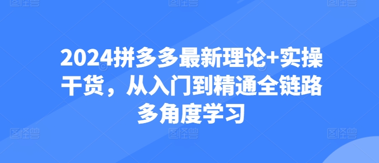 2024拼多多最新理论+实操干货，从入门到精通全链路多角度学习-第一资源库