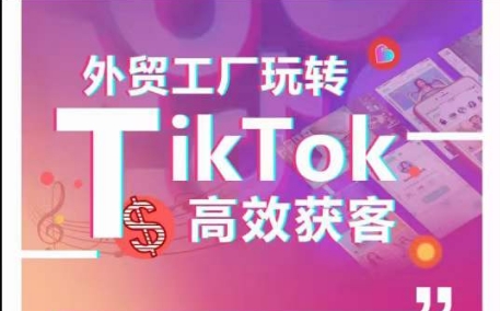 外贸工厂玩转TikTok高效获客，多种引流方式与账号定位技巧，拆解爆款短视频打造成功案例-第一资源库