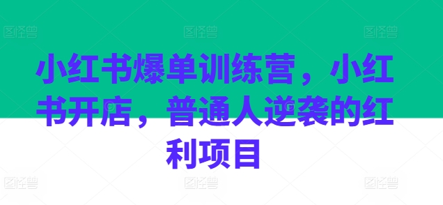 小红书爆单训练营，小红书开店，普通人逆袭的红利项目-第一资源库
