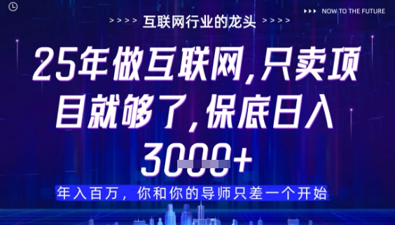 什么！25年你还在找项目做？风口早就变了，卖项目才是稳挣不赔【揭秘】-第一资源库