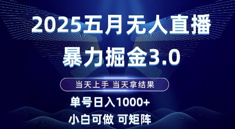 2025五月无人直播暴力掘金3.0，当天上手，当天拿结果，单号日入1k+小白可做可矩阵【揭秘】-第一资源库