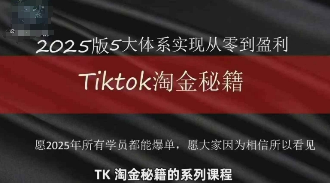 TikTok跨境2025淘金秘籍，​2025TikTok从0到盈利变现-第一资源库