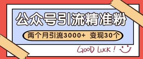公众号精准粉引流玩法，2个月3000+精准粉，变现30个W【揭秘】-第一资源库