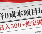 短视频变现套路剖析，抖音0成本赚钱项目玩法，日入500+独家揭秘（共2节视频）-第一资源库