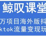 鲸叹号·海外TIKTOK训练营，百万项目海外版抖音tiktok流量变现玩法-第一资源库