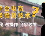 外面收费2980的全平台电商白嫖撸货技术（仅揭秘勿操作-商家防范必看）-第一资源库