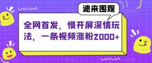 全网首发,慢开屏深情玩法,一条视频涨粉2000+【揭秘】-第一资源库