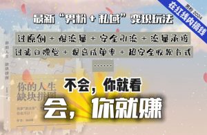 2024，“男粉+私域”还是最耐造、最赚、最轻松、最愉快的变现方式【揭秘】-第一资源库