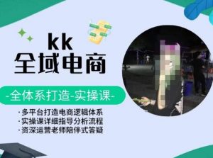 KK全域电商,全体系打造实操课,多平台打造电商逻辑体系-第一资源库