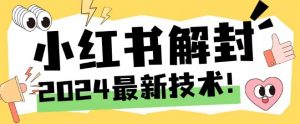 2024最新小红书账号封禁解封方法，无限释放手机号【揭秘】-第一资源库