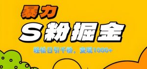 单人单机日引千粉，变现1k+，S粉流量掘金计划攻略【揭秘】-第一资源库